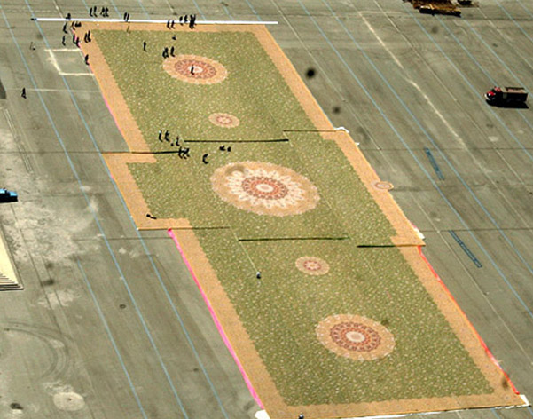 largest rug 2